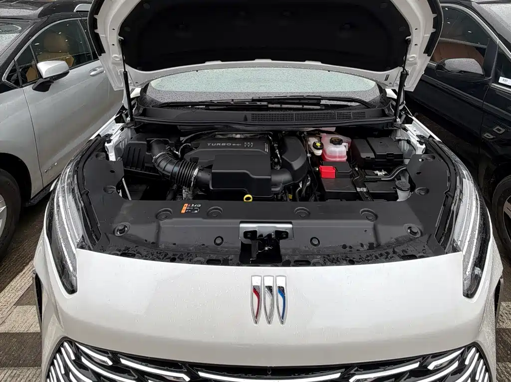 Buick GL8 — миниатюра 13