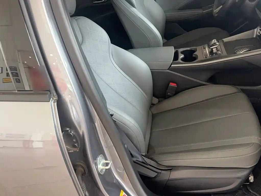 BYD Qin PLUS — миниатюра 3