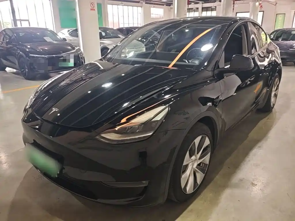Tesla Model Y — миниатюра 2