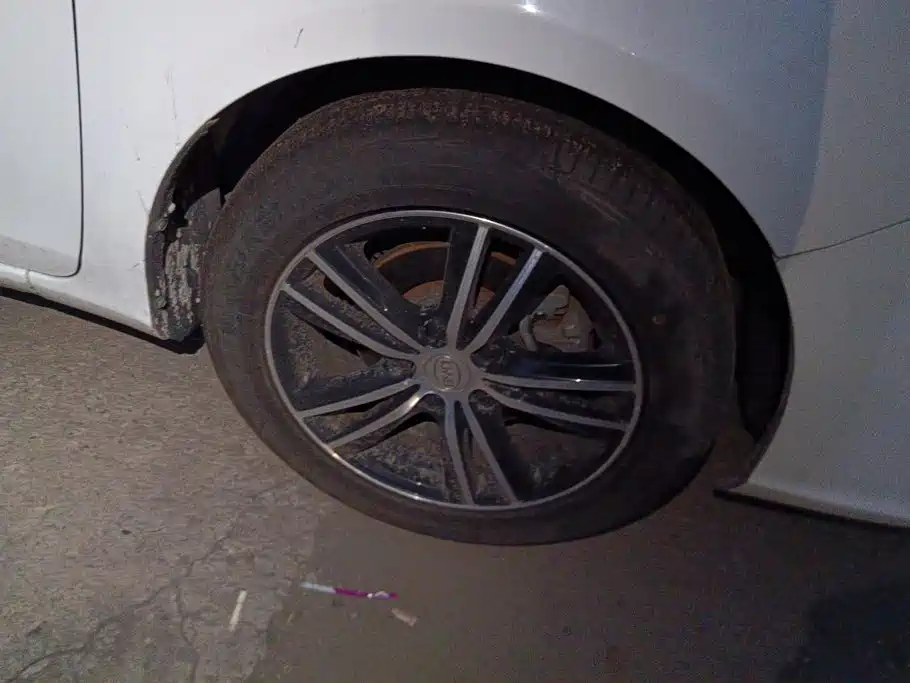 BYD Surui — миниатюра 6