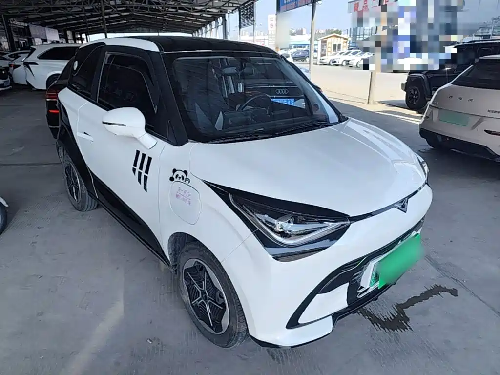 Cowin Shiyue — миниатюра 4