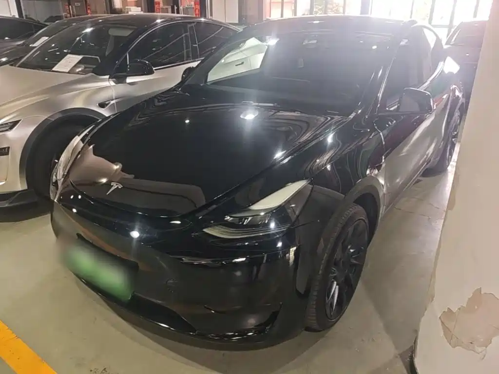 Tesla Model Y — миниатюра 2