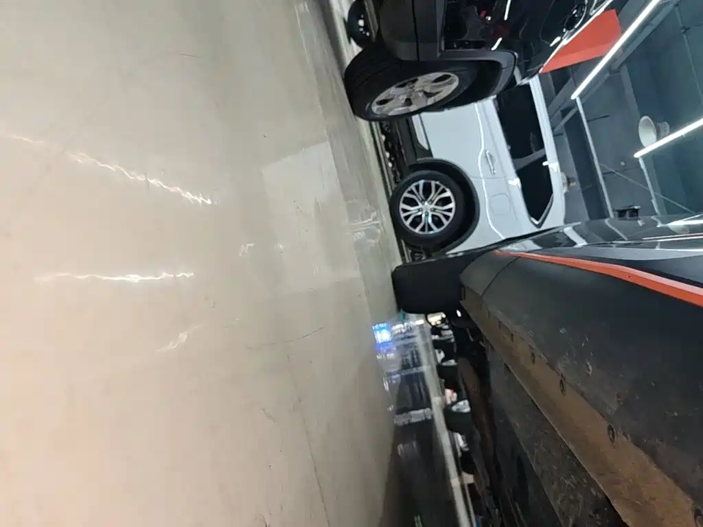 Haval Shenshou — миниатюра 21