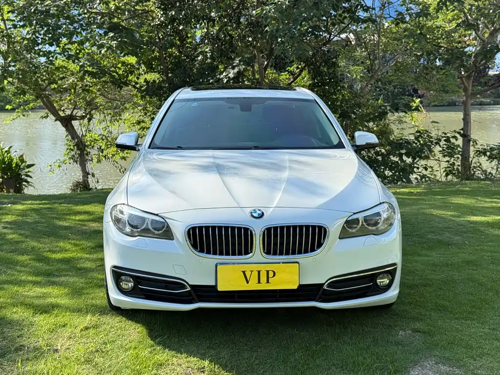 BMW 5 Series — миниатюра 2