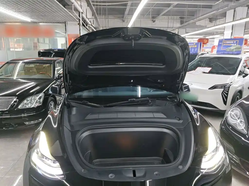 Tesla Model Y — миниатюра 20