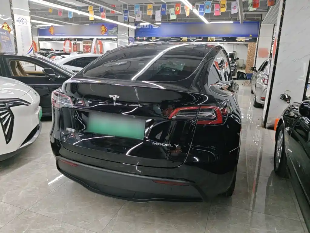 Tesla Model Y — миниатюра 7