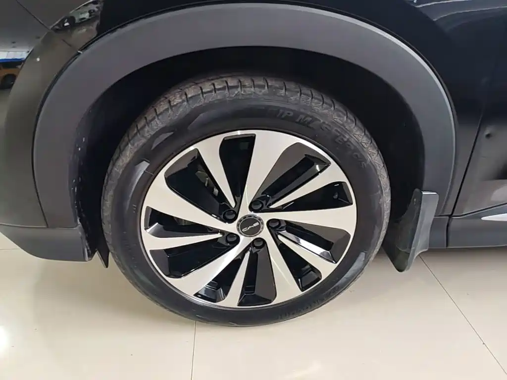 BYD PLUS New Energy — миниатюра 23
