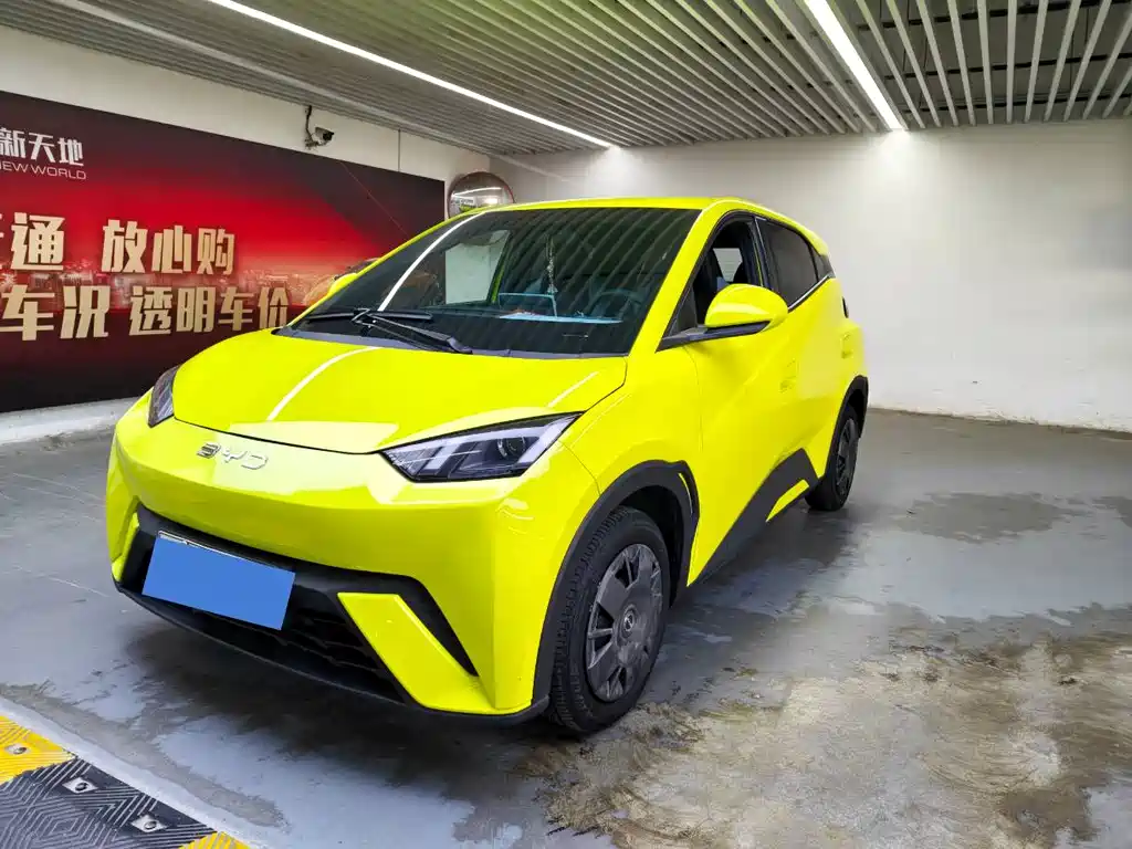 Byd Seagull 2024