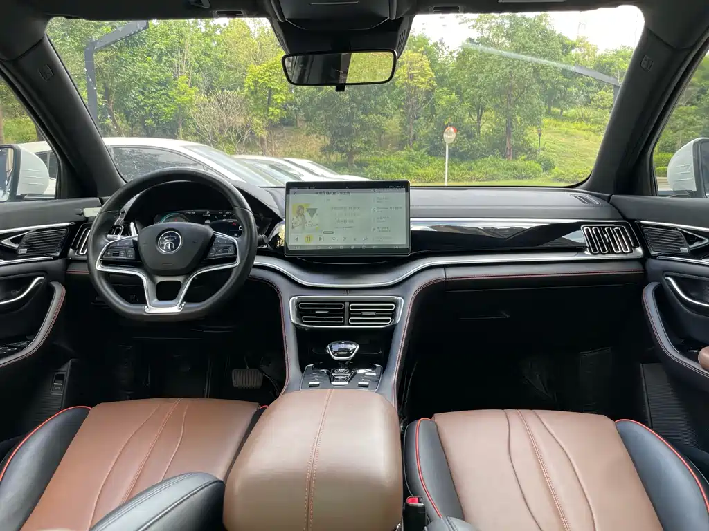 BYD PLUS — миниатюра 14