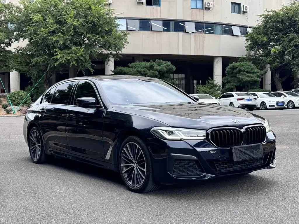 BMW 5 Series — миниатюра 3