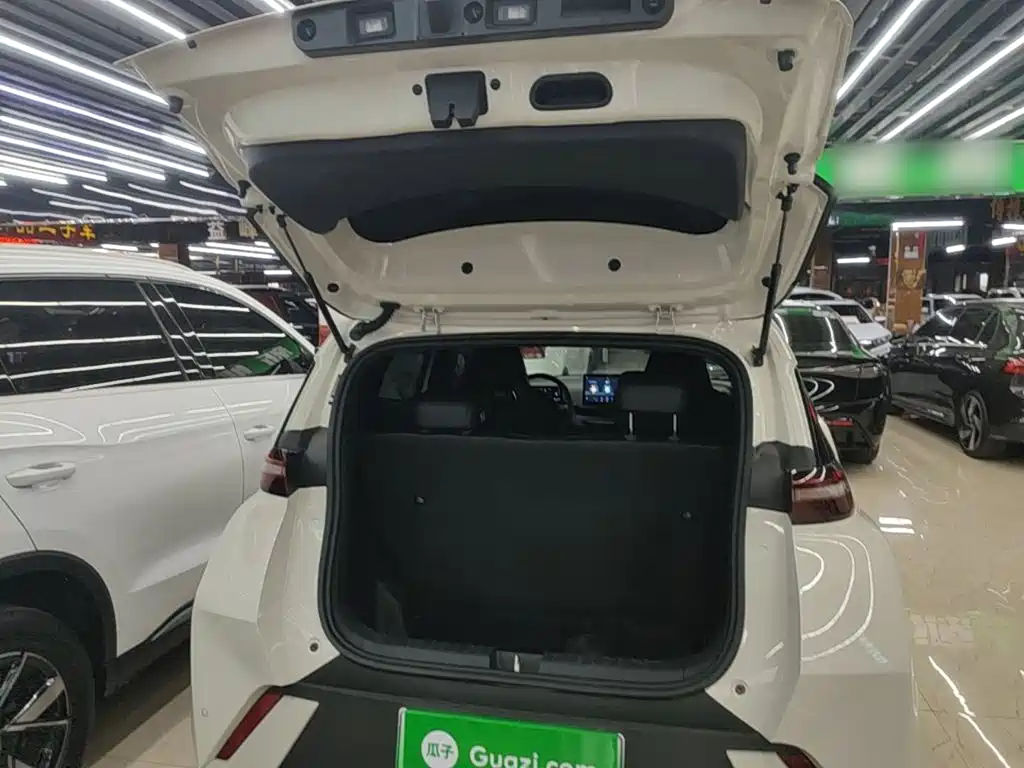 BYD Seagull — миниатюра 19
