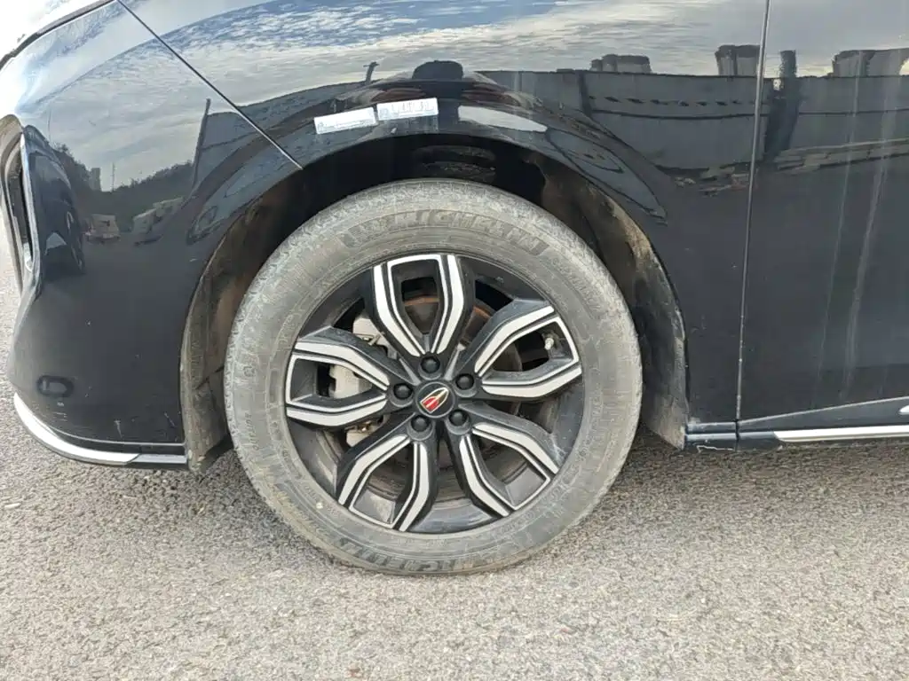 Hongqi Hongqi HQ9 — миниатюра 23