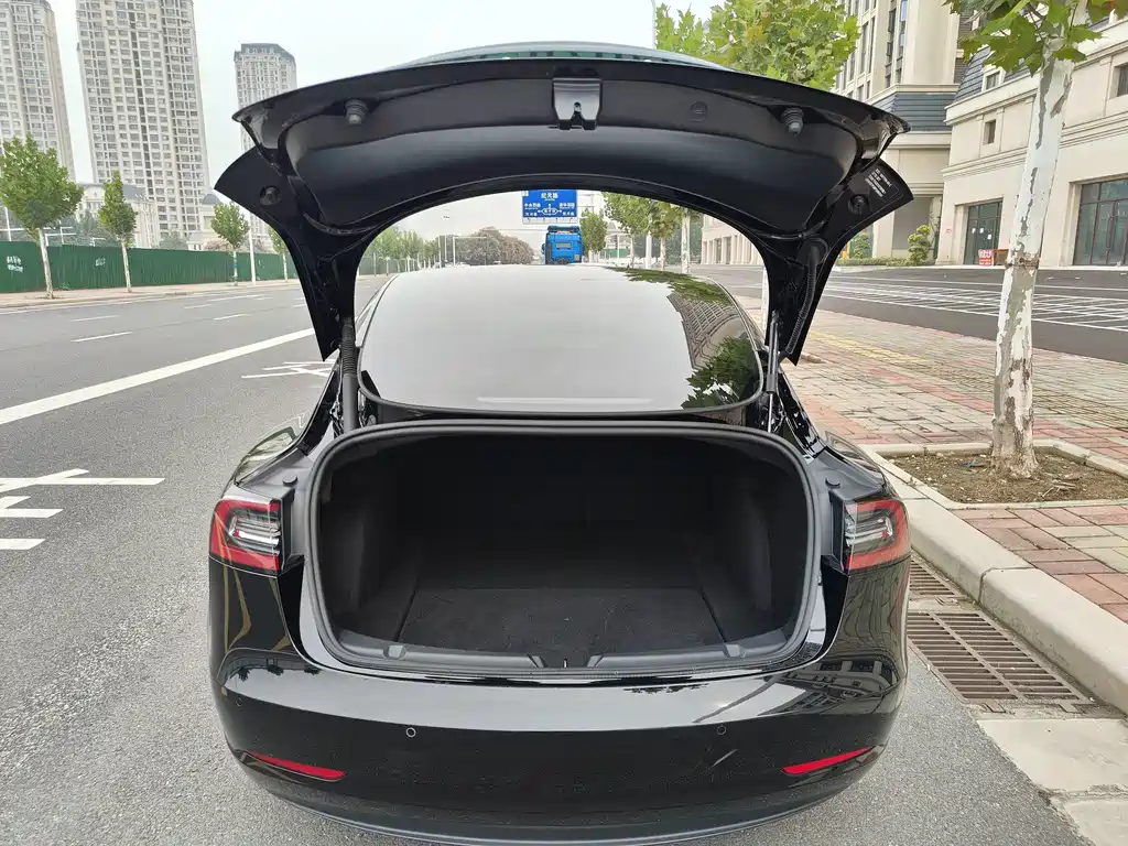 Tesla Model 3 — миниатюра 17