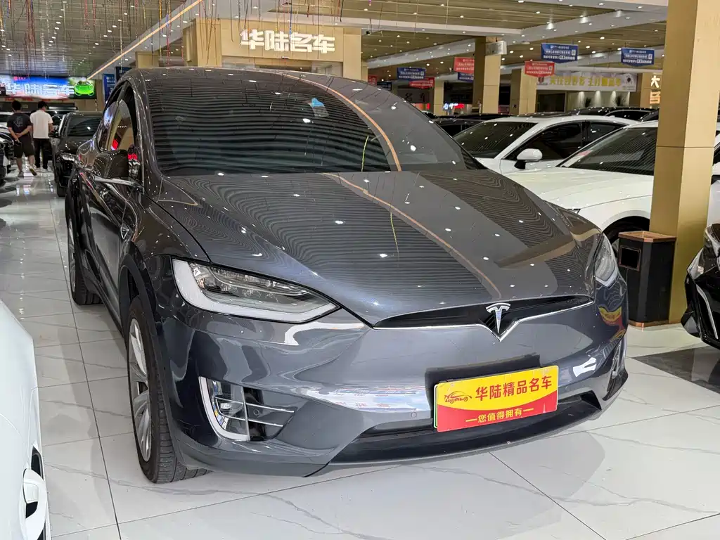 Tesla Model X — миниатюра 3