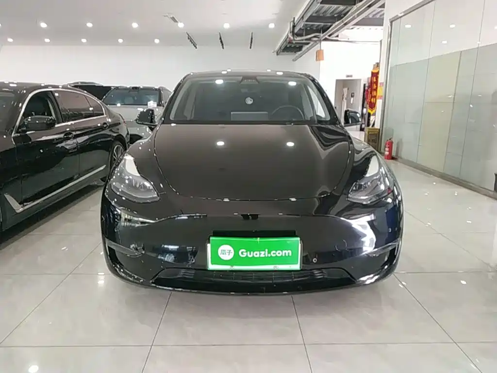 Tesla Model Y — миниатюра 3