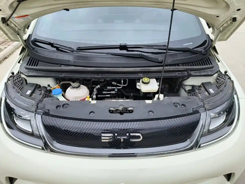 BYD Dolphin — миниатюра 20