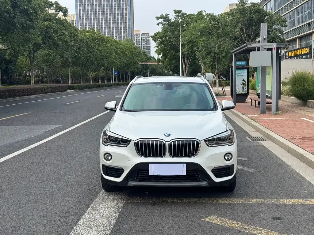 BMW X1 — миниатюра 2