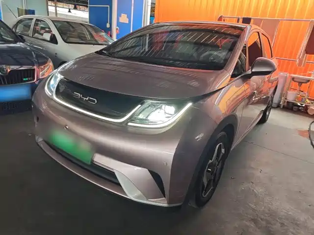 2022 BYD Dolphin