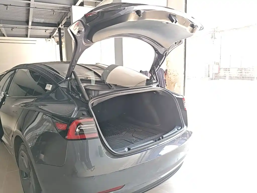 Tesla Model 3 — миниатюра 19
