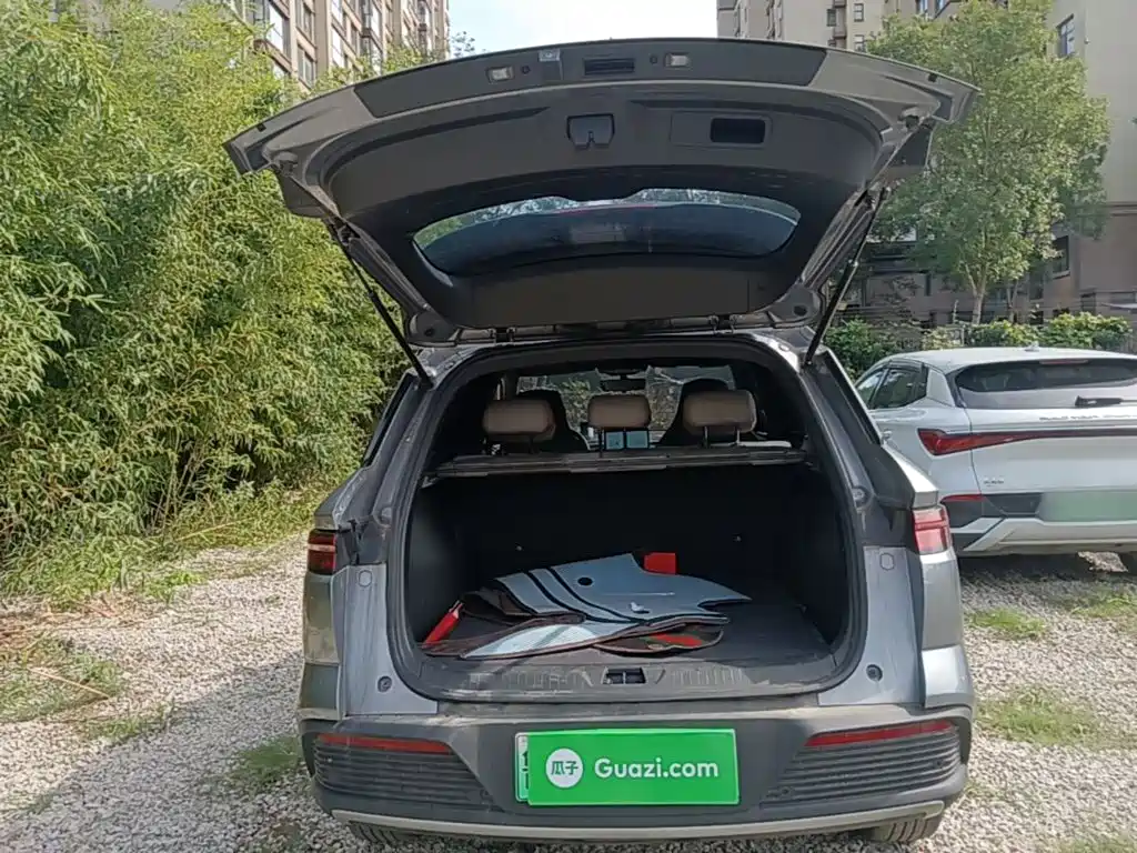 BYD Pro New Energy — миниатюра 19