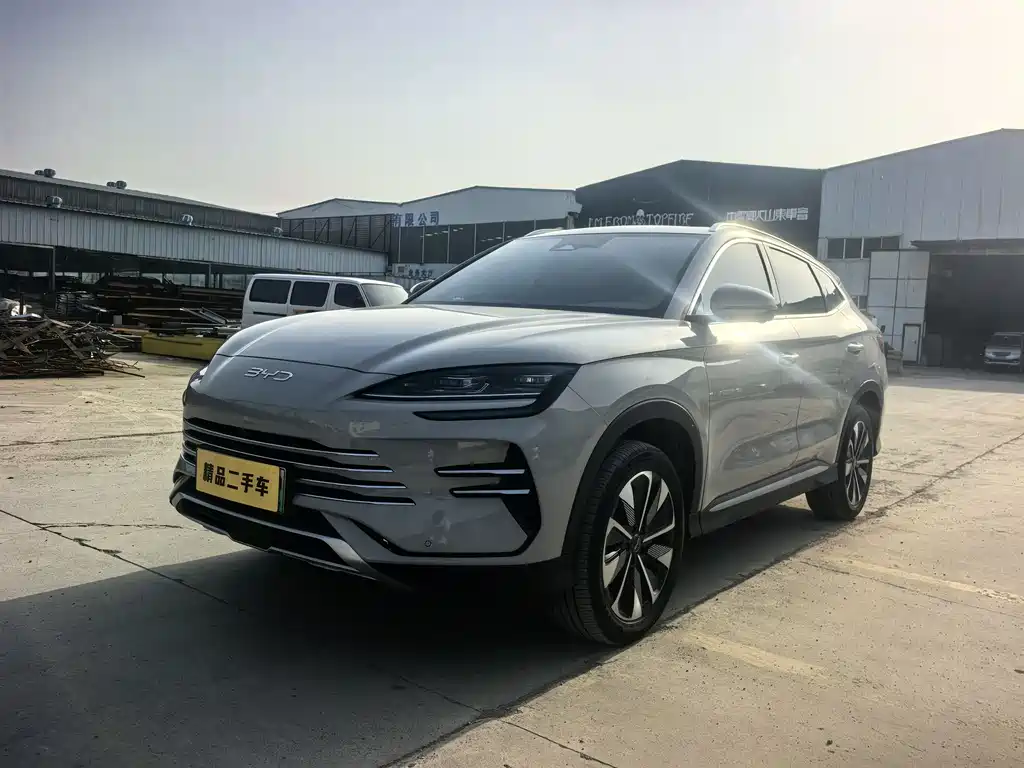Byd PLUS New Energy 2024