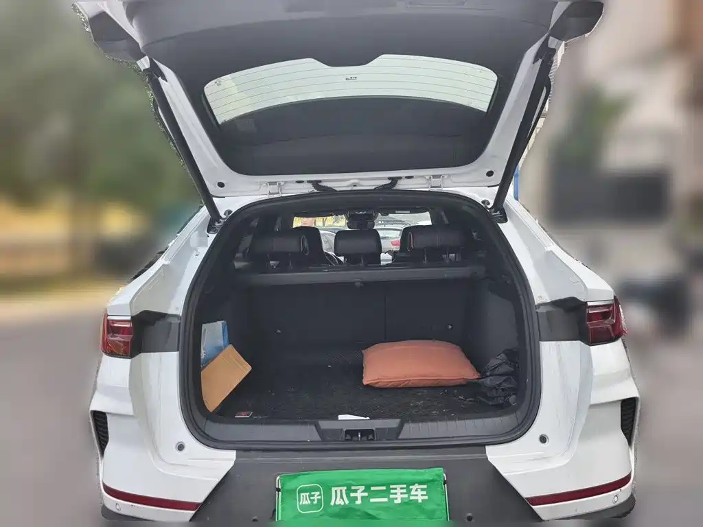 BYD PLUS New Energy — миниатюра 20