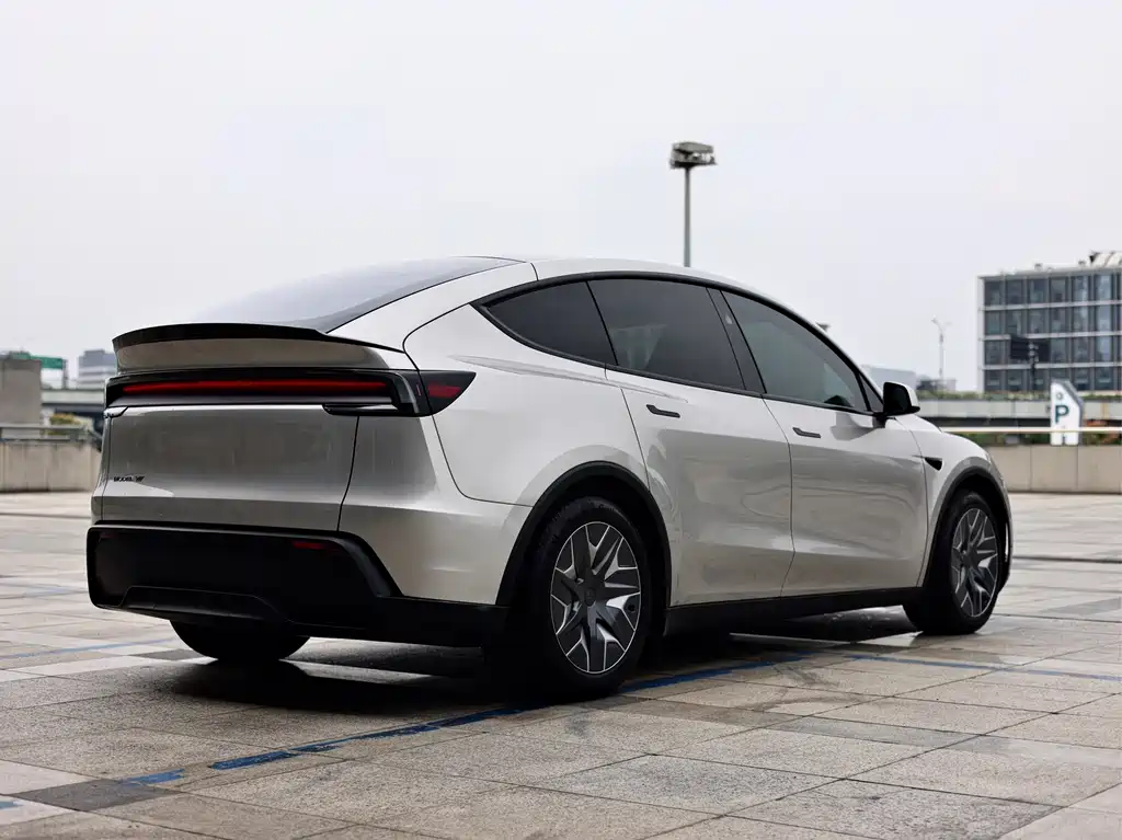 Tesla Model Y L — миниатюра 7