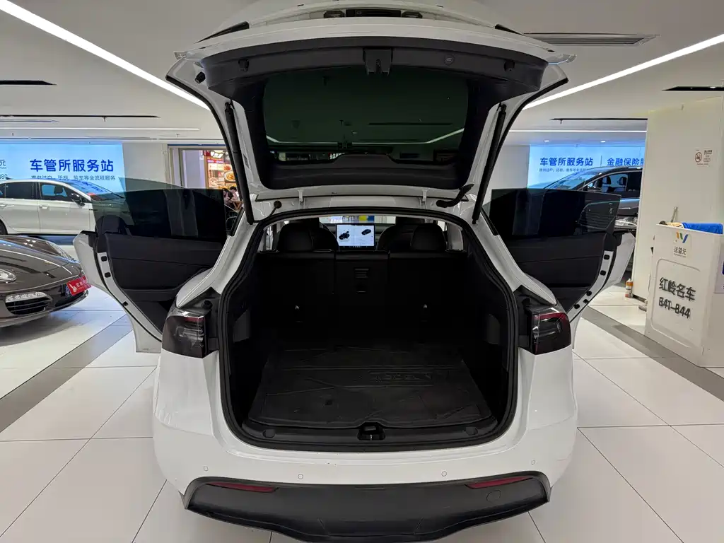 Tesla Model Y — миниатюра 18