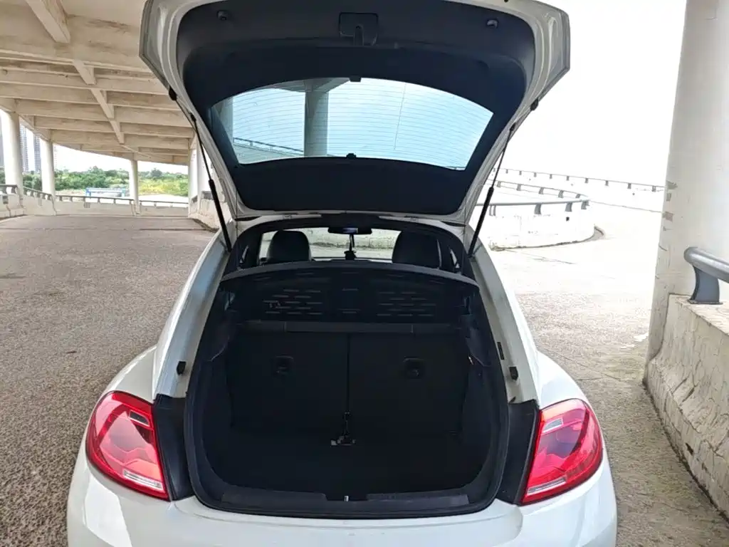 Volkswagen Beetle — миниатюра 19
