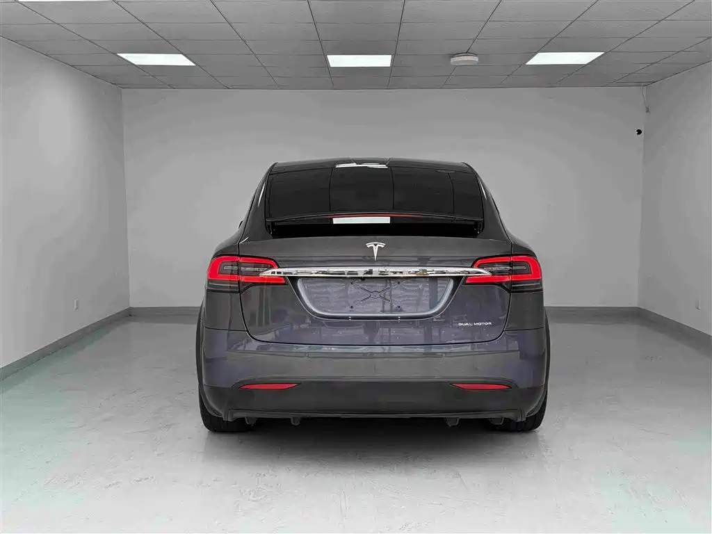 Tesla Model X — миниатюра 21