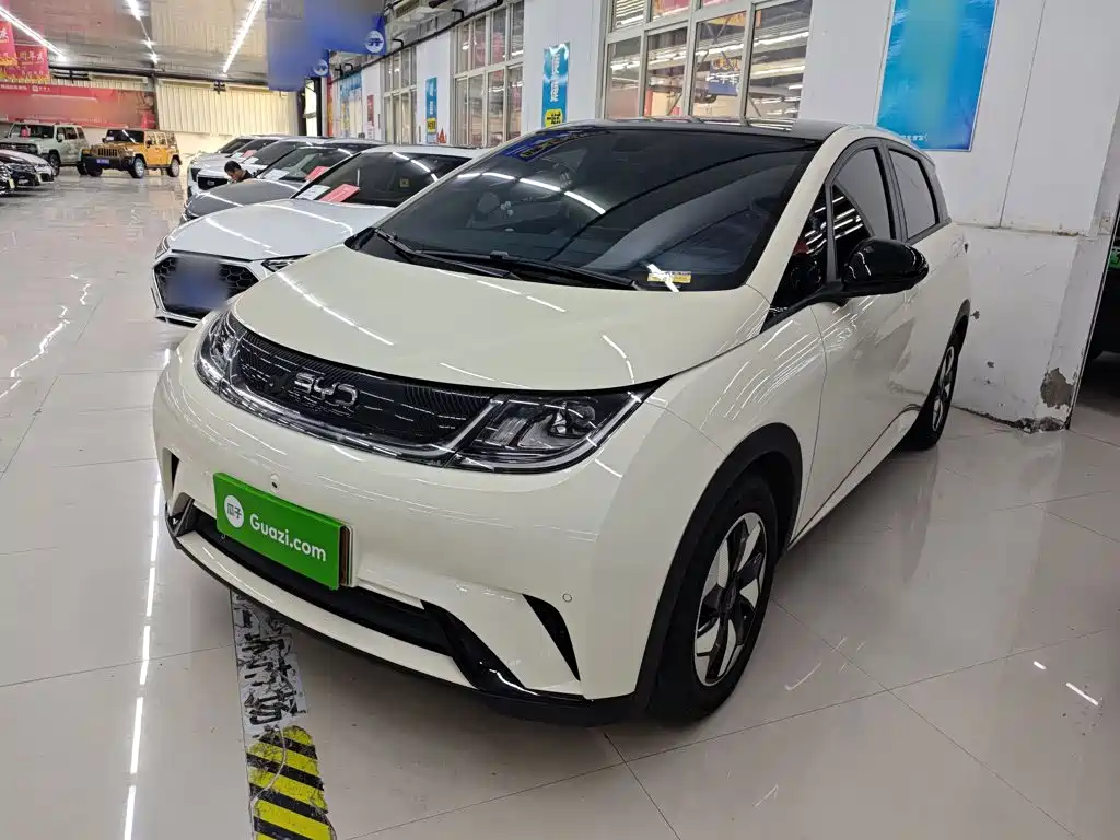 BYD Dolphin