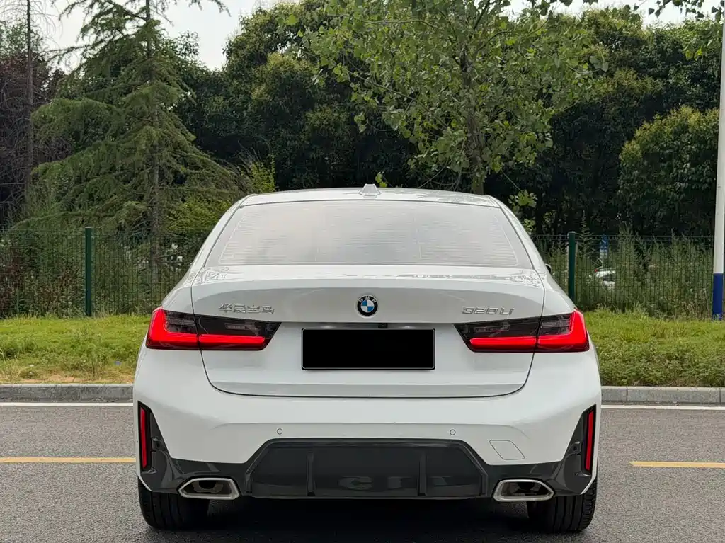 BMW 3 Series 320Li M Sport Package, фото 17