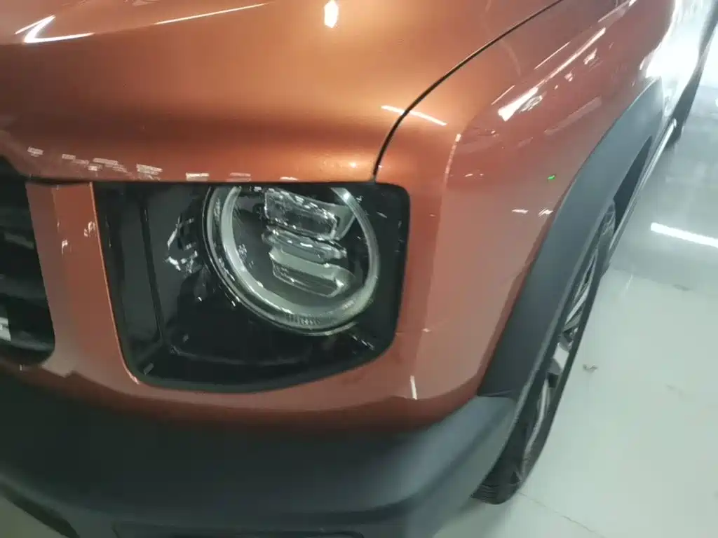 Haval Big Dog — миниатюра 24