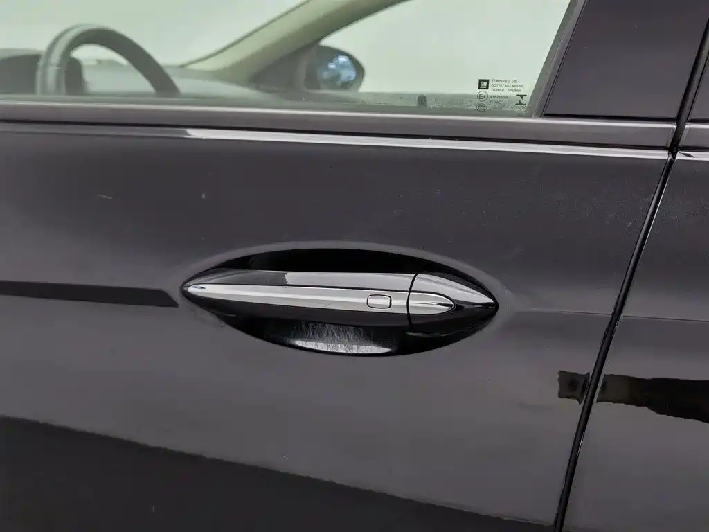 Buick Regal — миниатюра 18