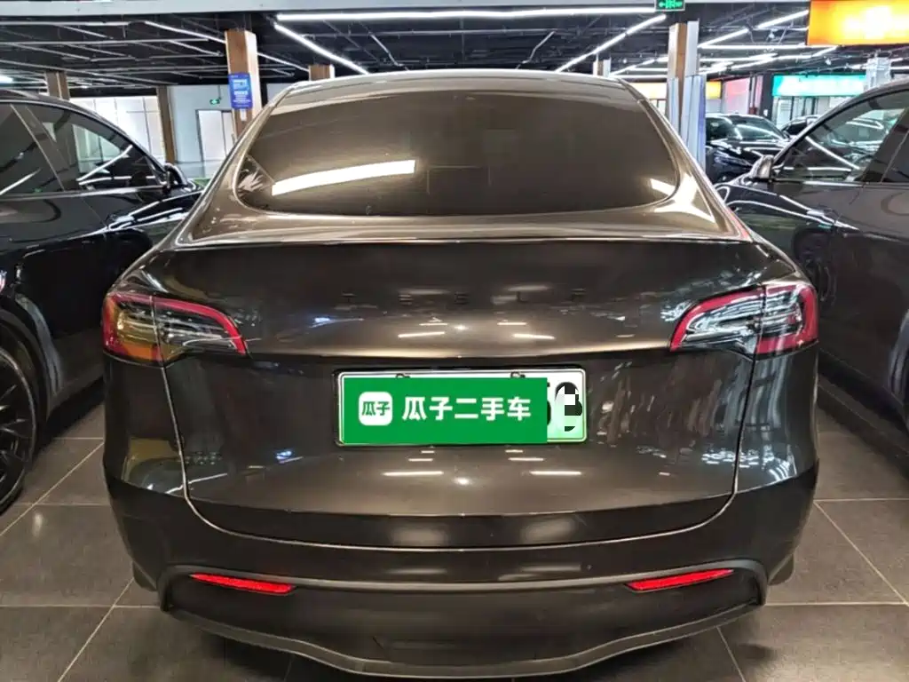 Tesla Model Y — миниатюра 6