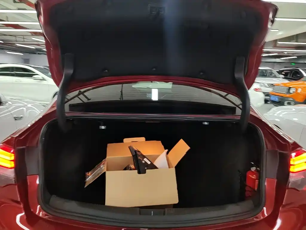 Buick Regal — миниатюра 19