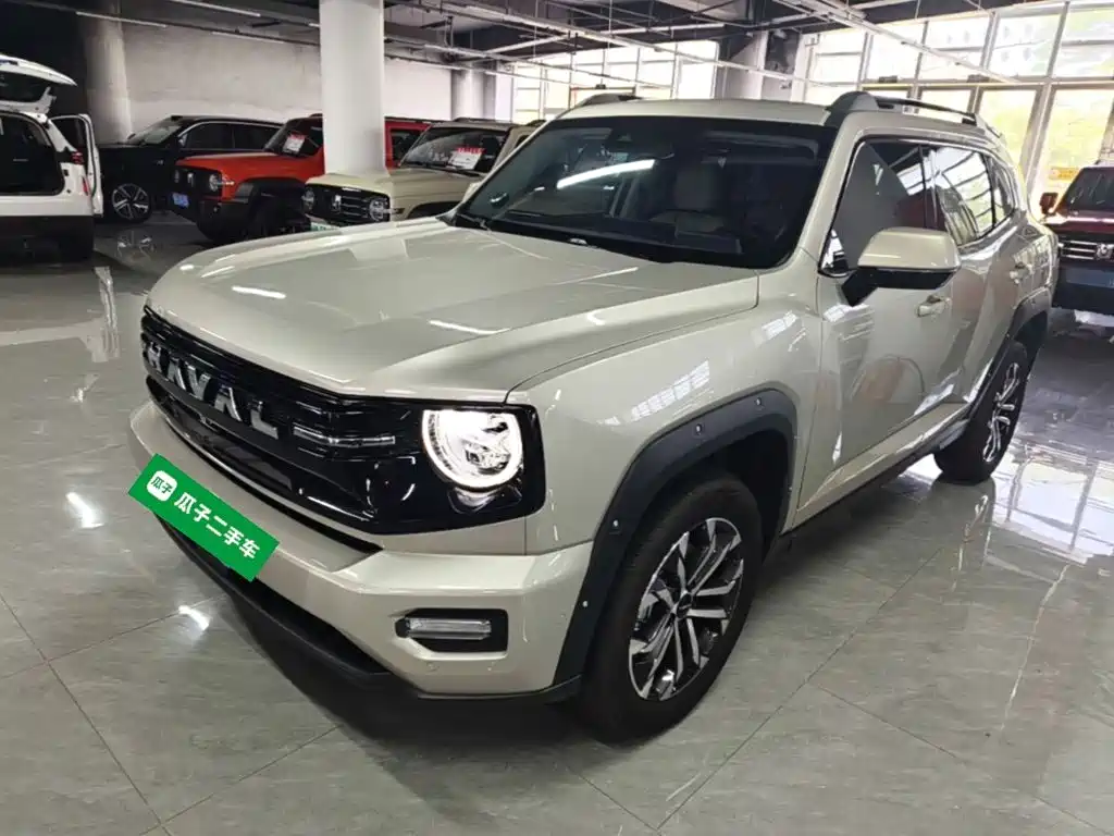 Haval Big Dog PLUS — миниатюра 2