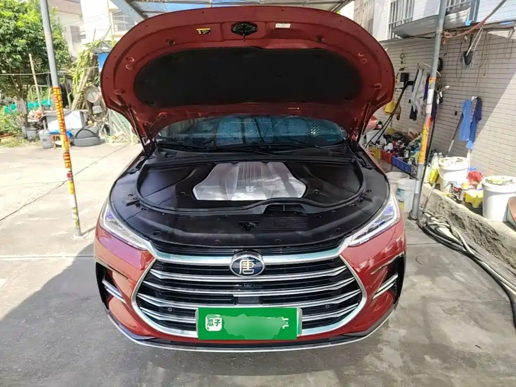 BYD Tang New Energy — миниатюра 20