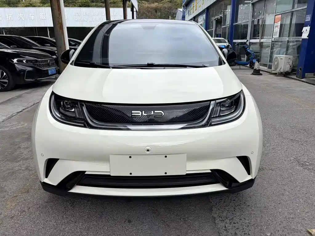 BYD Dolphin — миниатюра 2