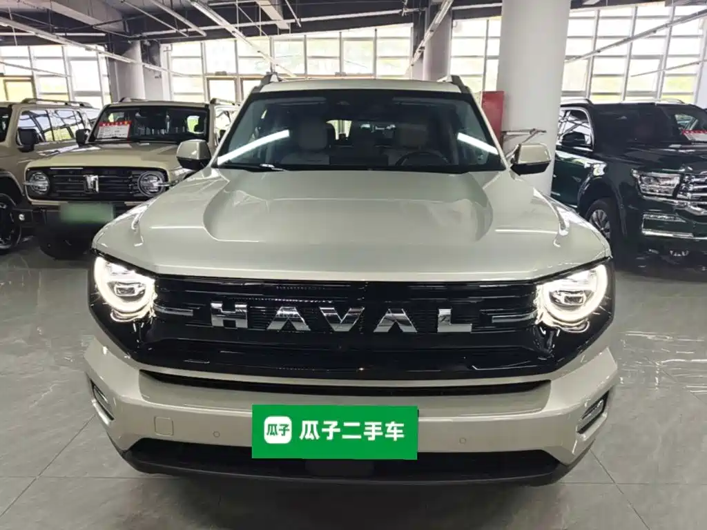Haval Big Dog PLUS — миниатюра 3