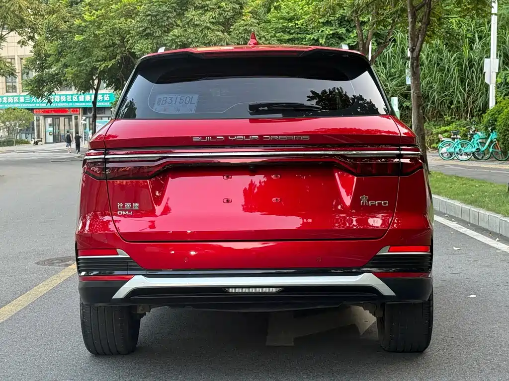 BYD Pro New Energy — миниатюра 4