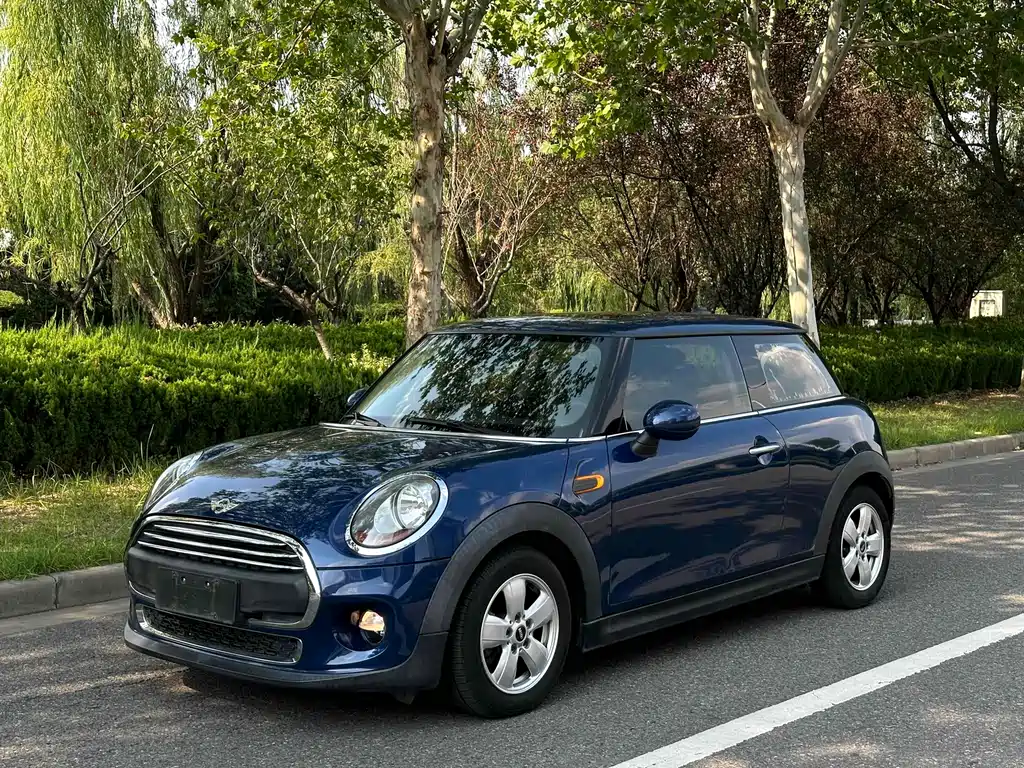 Mini Mini 2017