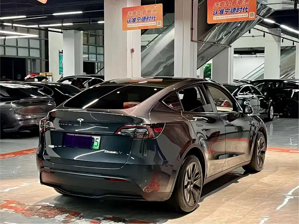 Tesla Model Y — миниатюра 6