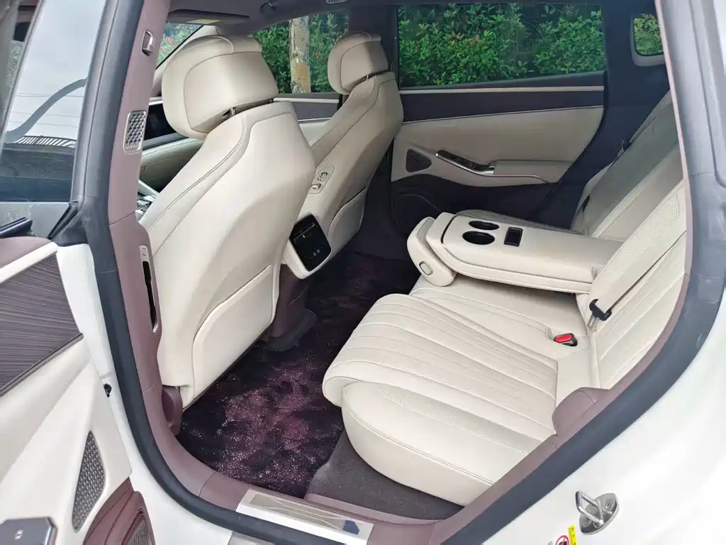 Denza Denza Z9GT — миниатюра 7
