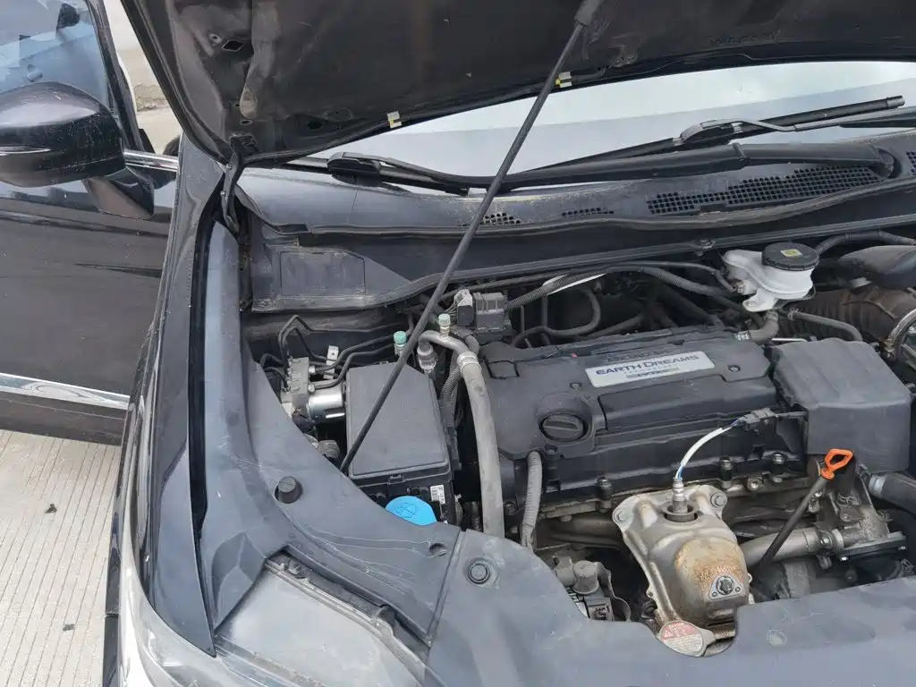 Honda Elysion — миниатюра 21