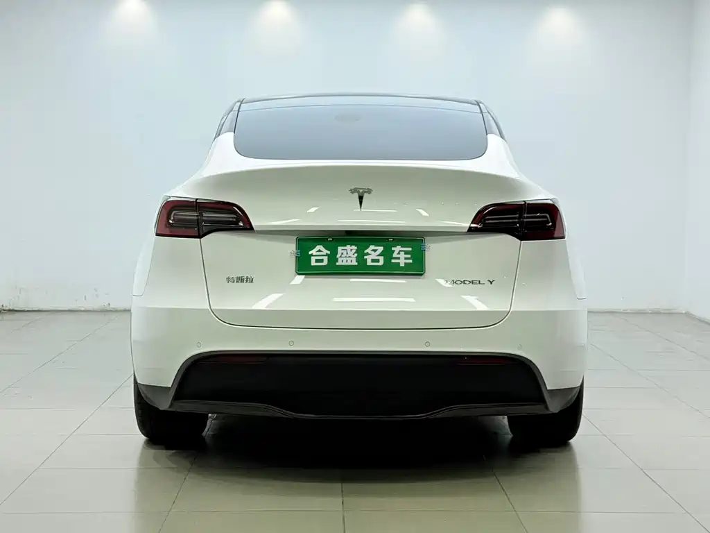 Tesla Model Y — миниатюра 11