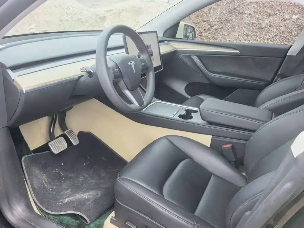 Tesla Model Y — миниатюра 5