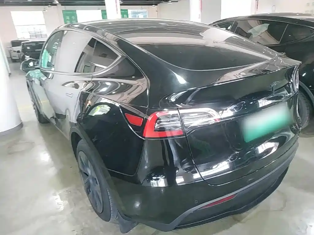 Tesla Model Y — миниатюра 5