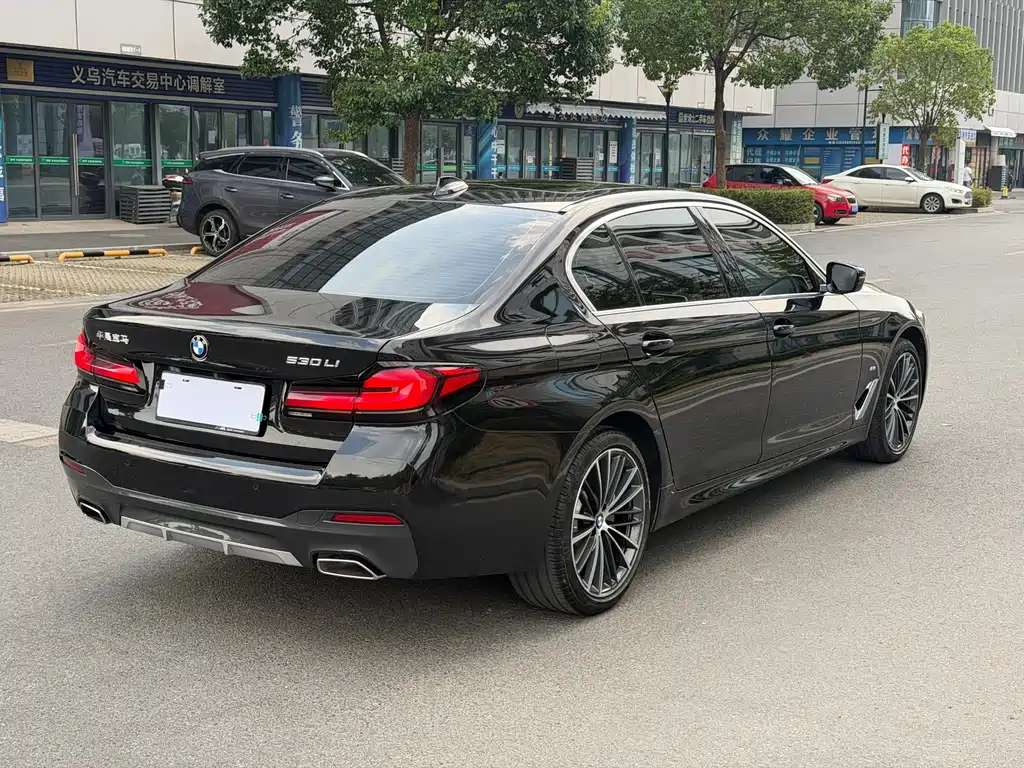 BMW 5 Series — миниатюра 5