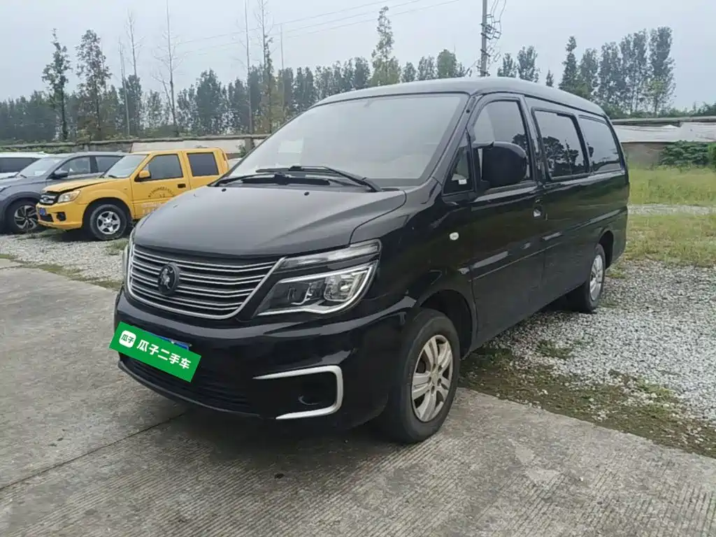 Fengxing Lingzhi
